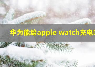 华为能给apple watch充电吗